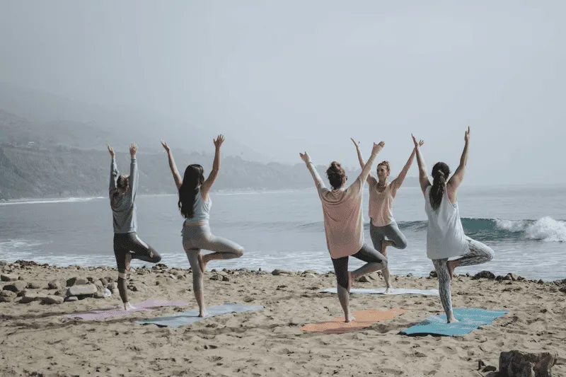 WellnessHub