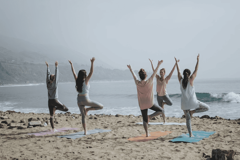 WellnessHub